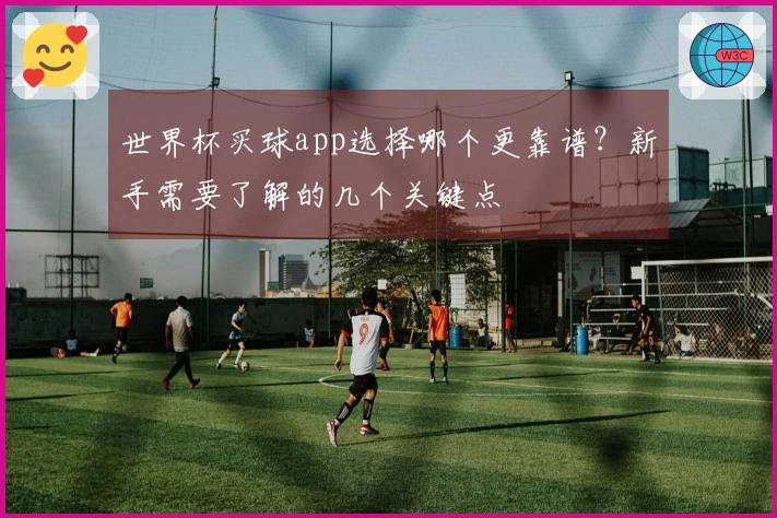 世界杯买球app选择哪个更靠谱？新手需要了解的几个关键点
