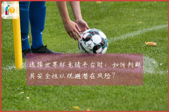选择世界杯竞猜平台时，如何判断其安全性以规避潜在风险？
