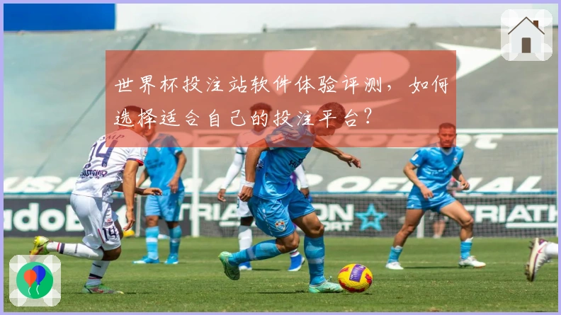 世界杯投注站软件体验评测，如何选择适合自己的投注平台？
