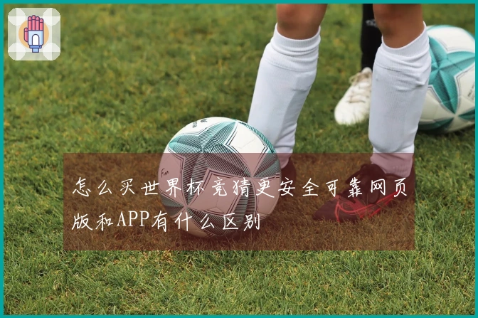 怎么买世界杯竞猜更安全可靠网页版和APP有什么区别