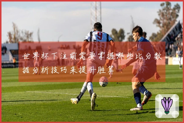 世界杯下注前需要掌握哪些比分数据分析技巧来提升胜算