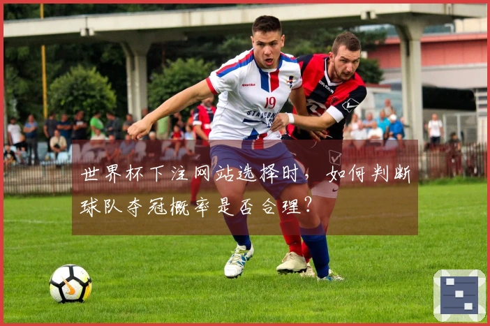 世界杯下注网站选择时，如何判断球队夺冠概率是否合理？