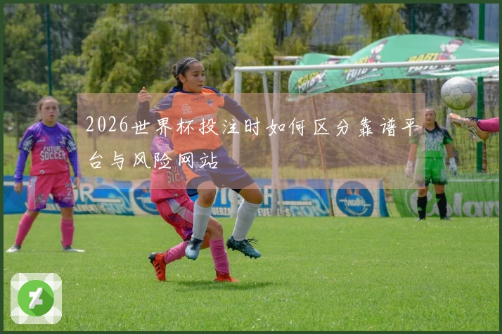 2026世界杯投注时如何区分靠谱平台与风险网站