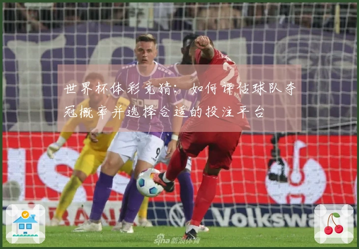 世界杯体彩竞猜：如何评估球队夺冠概率并选择合适的投注平台
