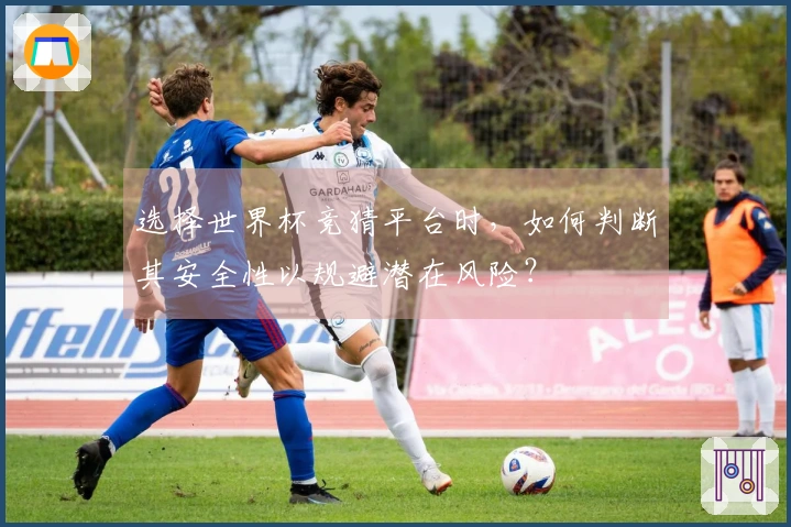 选择世界杯竞猜平台时,如何判断其安全性以规避潜在风险?