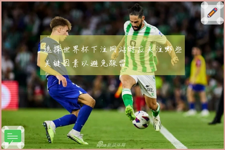 选择世界杯下注网站时应关注哪些关键因素以避免踩雷