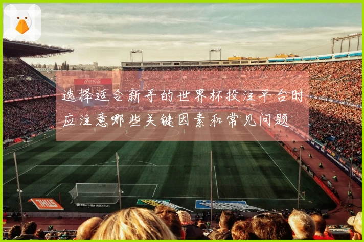 选择适合新手的世界杯投注平台时应注意哪些关键因素和常见问题