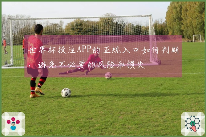 世界杯投注APP的正规入口如何判断，避免不必要的风险和损失