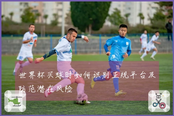 世界杯买球时如何识别正规平台及防范潜在风险