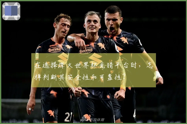 在选择烽火世界杯竞猜平台时，怎样判断其安全性和可靠性？