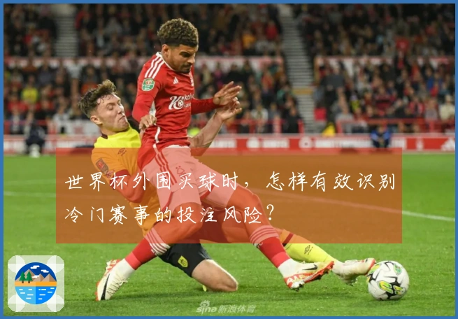 世界杯外围买球时，怎样有效识别冷门赛事的投注风险？