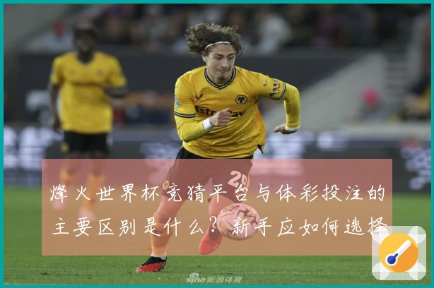 烽火世界杯竞猜平台与体彩投注的主要区别是什么？新手应如何选择？