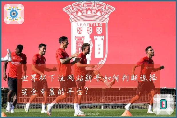 世界杯下注网站新手如何判断选择安全可靠的平台？