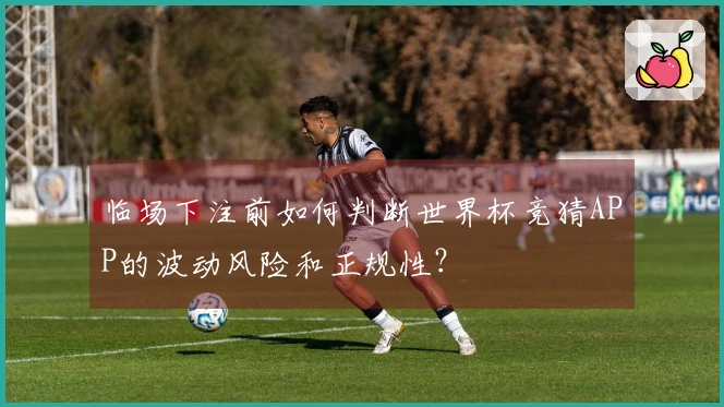 临场下注前如何判断世界杯竞猜APP的波动风险和正规性？