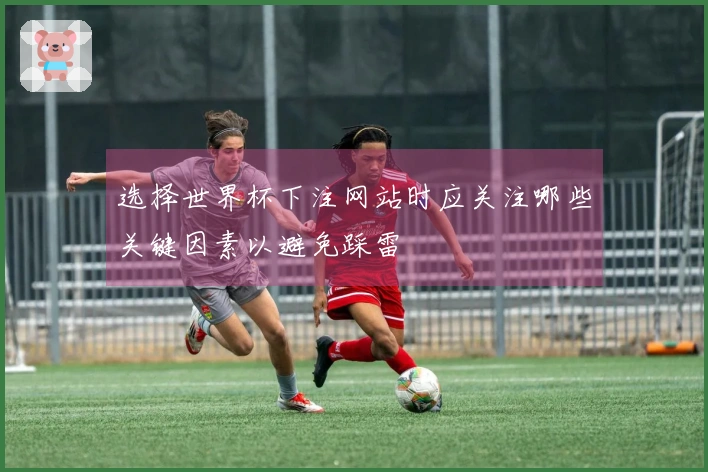 选择世界杯下注网站时应关注哪些关键因素以避免踩雷