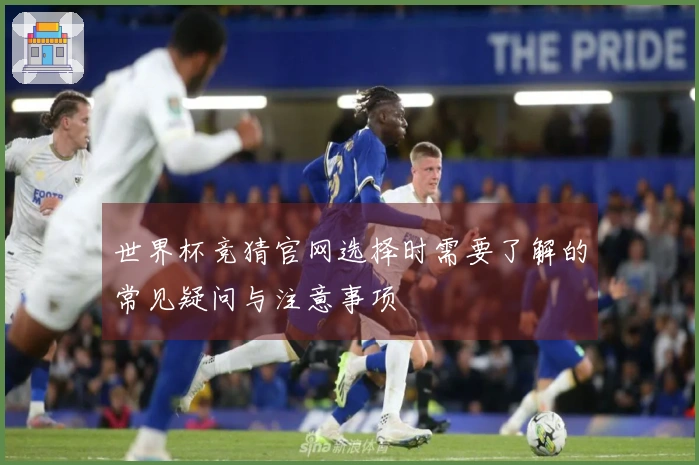 世界杯竞猜官网选择时需要了解的常见疑问与注意事项
