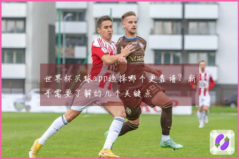 世界杯买球app选择哪个更靠谱？新手需要了解的几个关键点