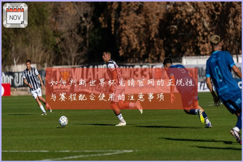如何判断世界杯竞猜官网的正规性与赛程配合使用的注意事项