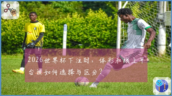 2026世界杯下注时，体彩和线上平台该如何选择与区分？