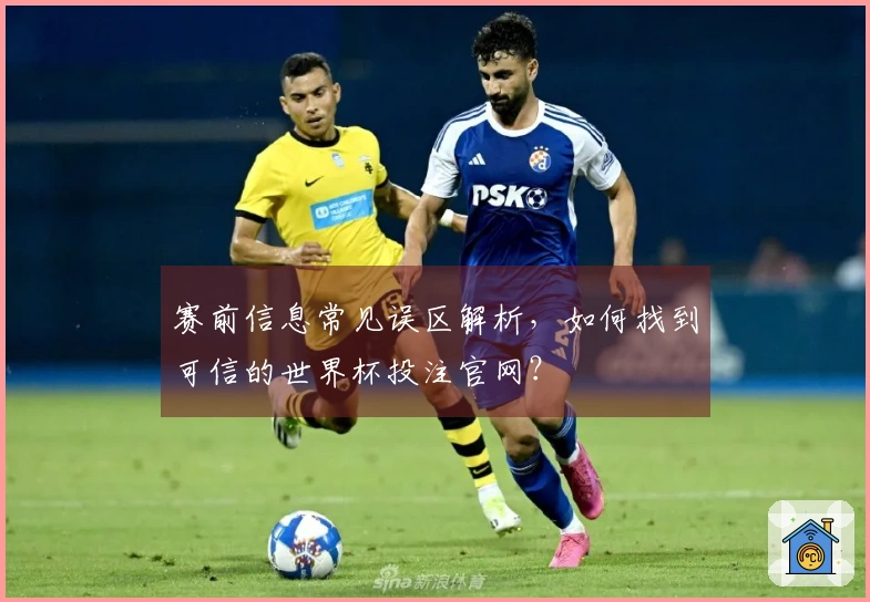赛前信息常见误区解析，如何找到可信的世界杯投注官网？