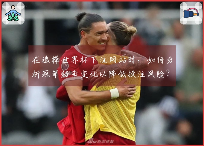 在选择世界杯下注网站时，如何分析冠军赔率变化以降低投注风险？