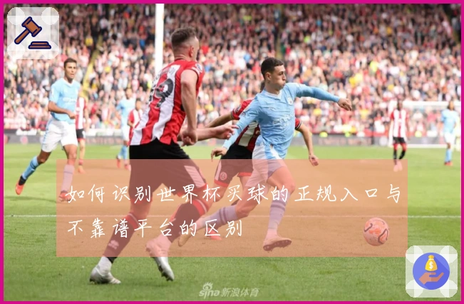 如何识别世界杯买球的正规入口与不靠谱平台的区别