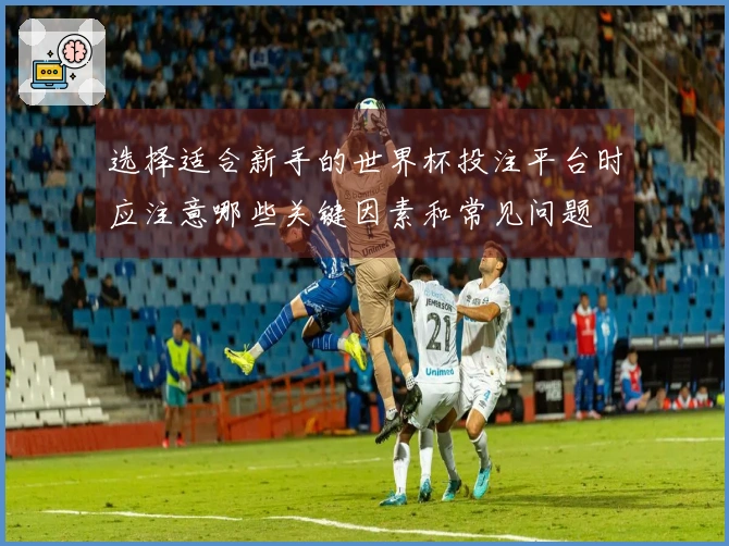 选择适合新手的世界杯投注平台时应注意哪些关键因素和常见问题