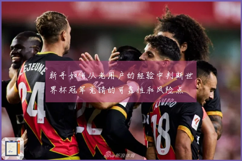 新手如何从老用户的经验中判断世界杯冠军竞猜的可靠性和风险点